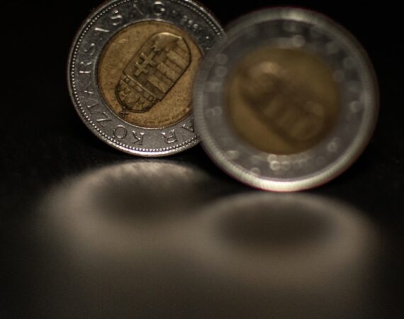 photo 1610387849418 3ec12dc4b50b