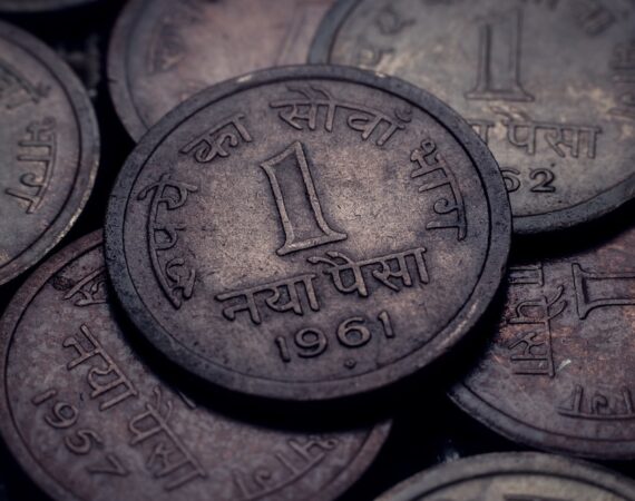 photo 1616338250254 d50fee9616d8