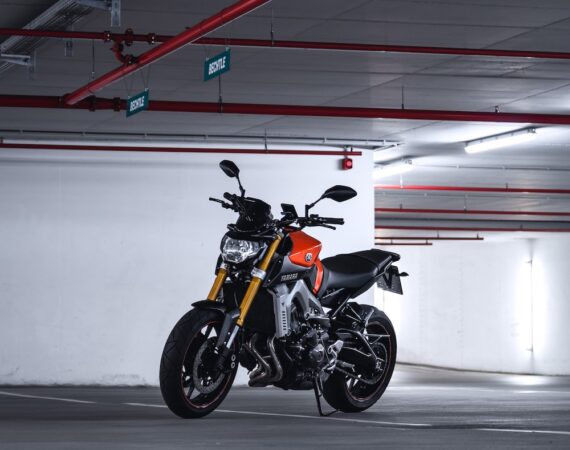 photo 1618698853647 9b11fb19a80a