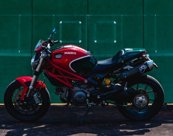 photo 1619588931854 ca3fe8a3193e