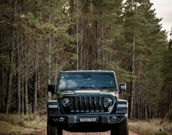 photo 1620732429210 d4ba6f245040