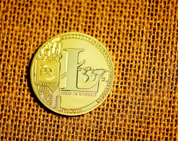 photo 1621416911835 f06b90d3eb8e