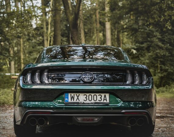 photo 1626945128827 ebb69079f724