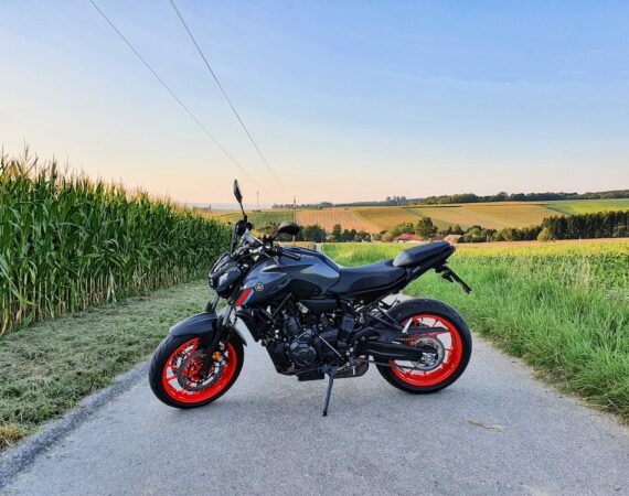 photo 1629134038107 ccfec7d2192a