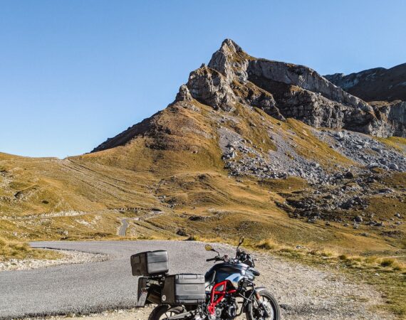 photo 1636739735649 54f9941ac5e5