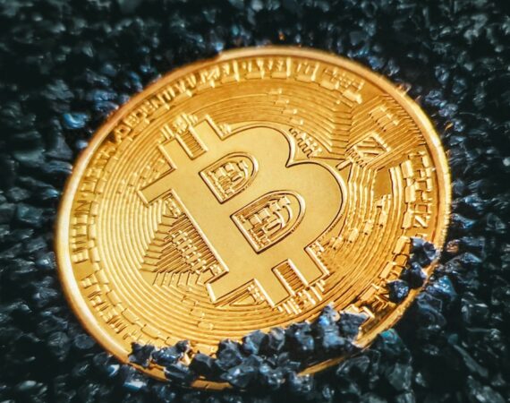 photo 1641197408799 262f1f343cc6