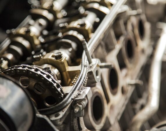 photo 1429772011165 0c2e054367b8