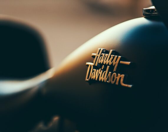 photo 1481567758055 3e8a6e89ca58