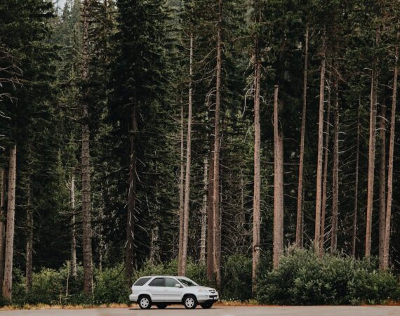 photo 1504657958592 e16ea086cf0f