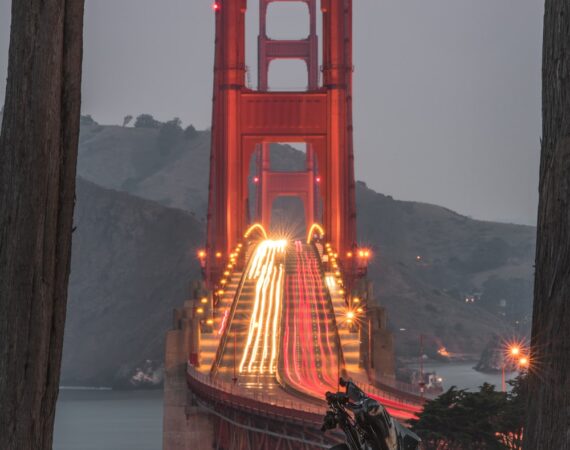 photo 1519714309872 490508e32882