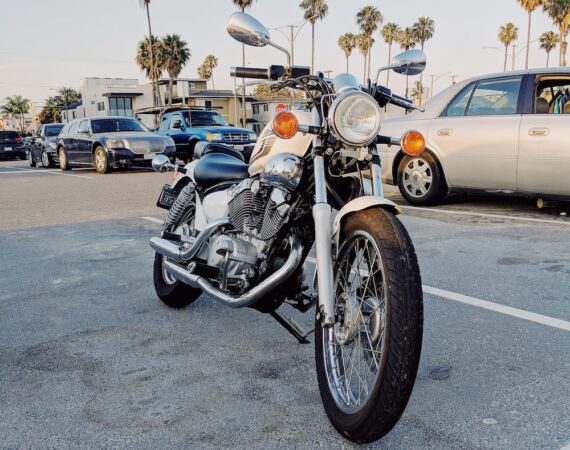 photo 1535495351231 80a67f8ff4c9