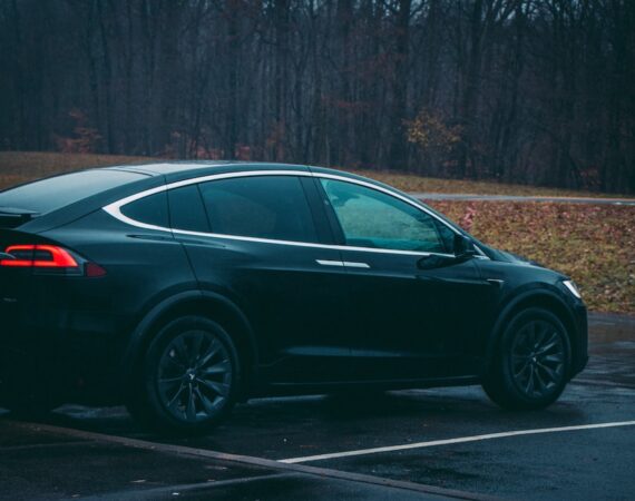 photo 1547155011 8f5abb216d6a