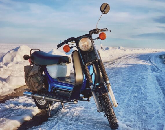 photo 1551205144 0eddf477bce2