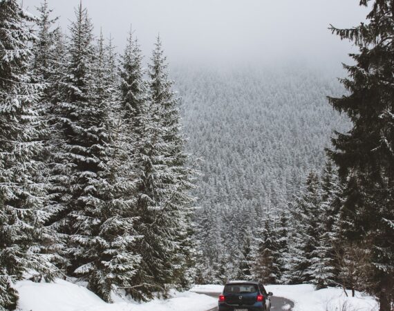 photo 1555345024 c14b7082162e