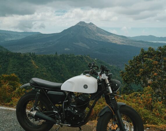 photo 1561559820 cd56bfe5cea6