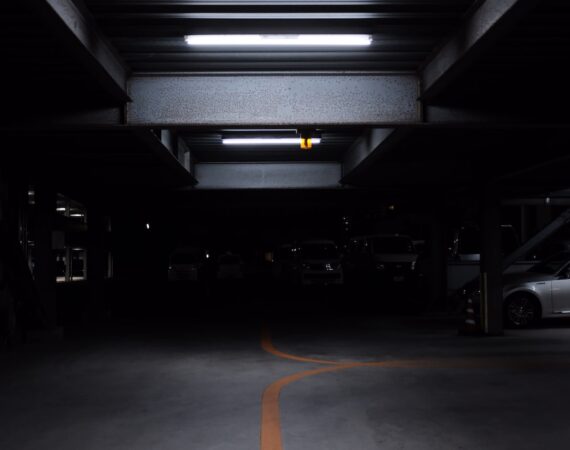 photo 1565351206079 d3ecea95f659