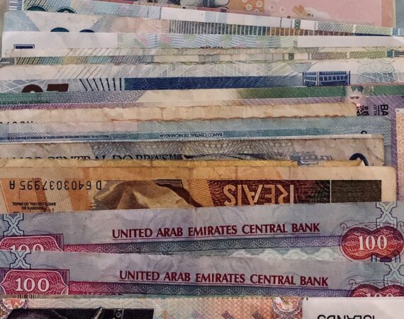 photo 1570787019255 5f4e02414dec