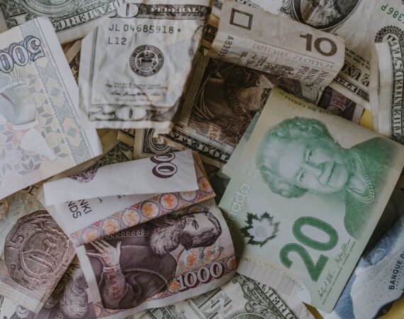 photo 1574607408168 ba3d03011c23