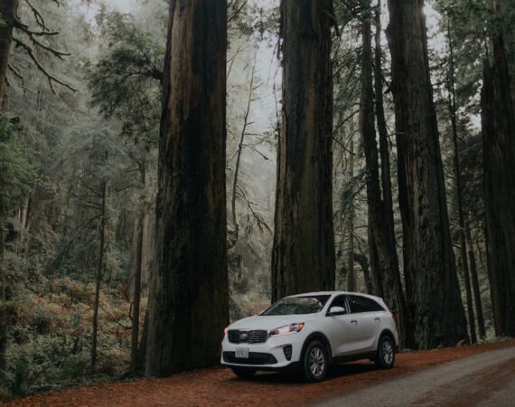 車貸評估報告:瞭解該如何確定借款額度 5 photo 1574979487785 dec6712408f6