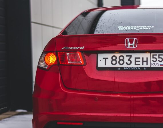 photo 1577112319788 377a2131e05b