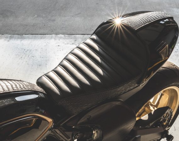 photo 1585989541203 64155e724a56