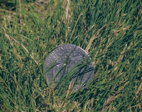 photo 1592605719140 c871ab8953b3