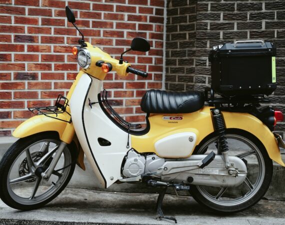 photo 1595167543180 e7894b577443