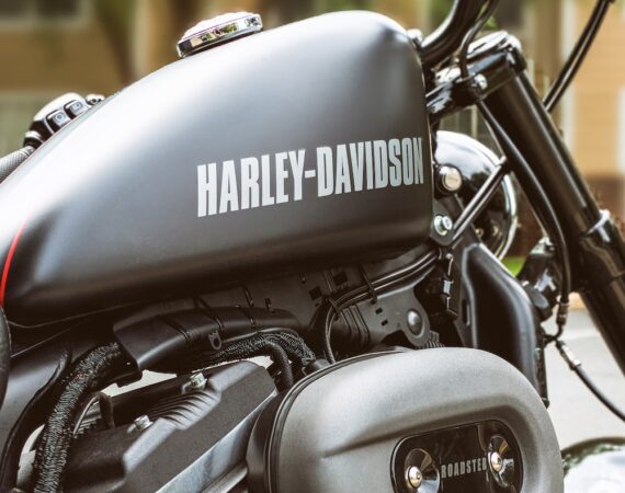 photo 1598754422738 5861477387c9