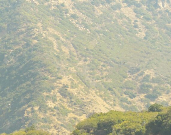 photo 1603176197399 b100c683437d