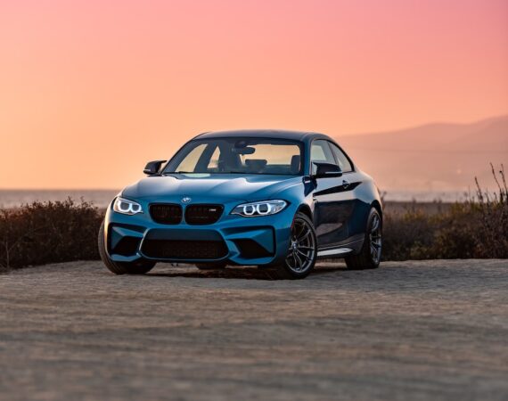 photo 1603831126198 a53fd2a50da5