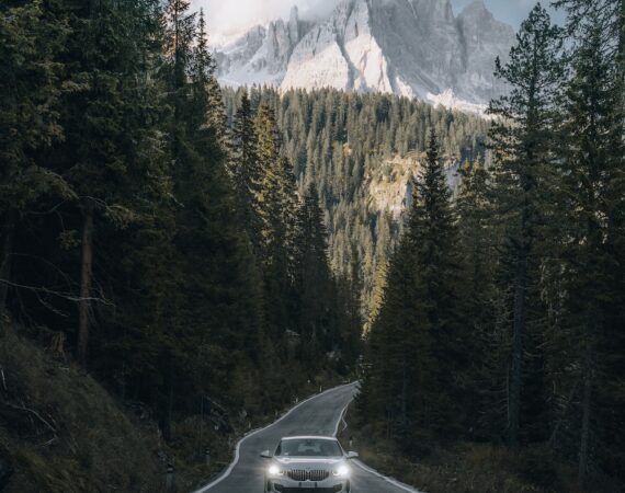 photo 1603881359318 e2bc03deaaee