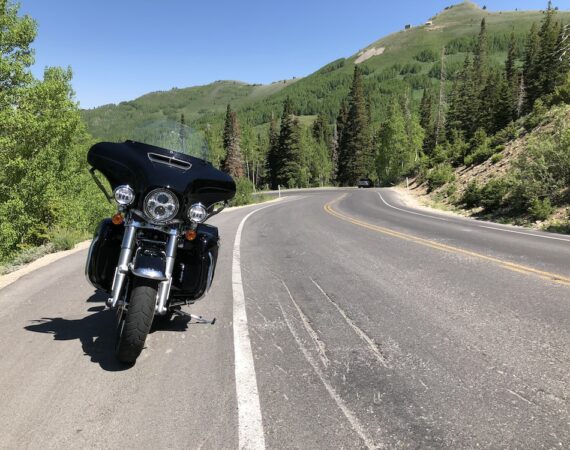 photo 1604438072130 1bccc665c0e3