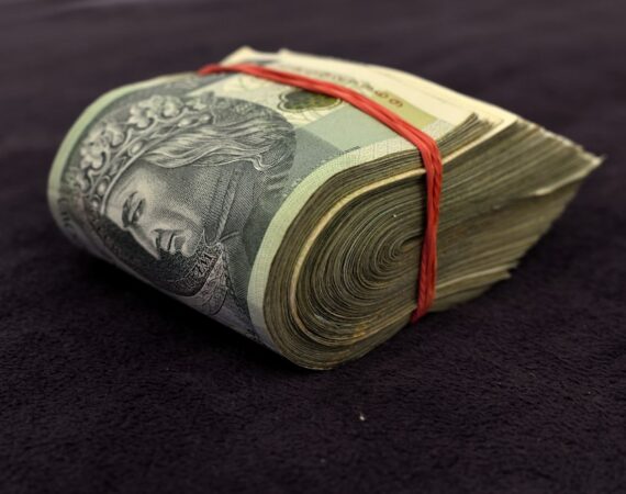 photo 1605429202889 019db9ee234d