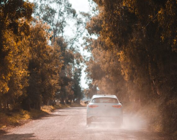 photo 1608067826981 81dc1360e9b5