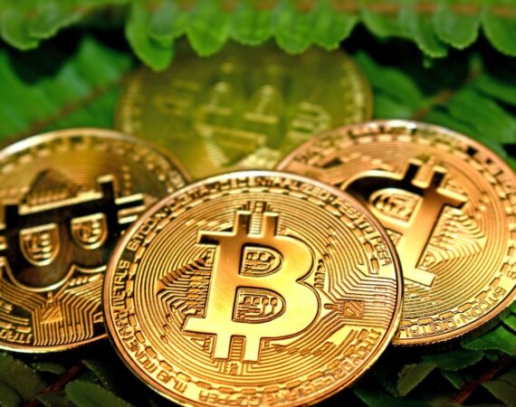 photo 1611281929131 8b9284ee2da1