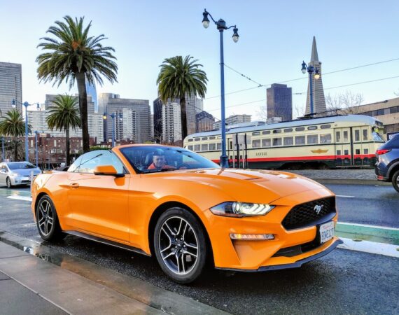 photo 1613048920587 2cf4e0d4d3df