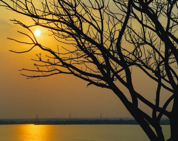 photo 1615957328348 d51e5c443dda