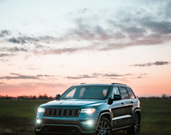 photo 1618353482480 61ca5a9a7879