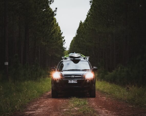 photo 1619433456426 7f41b3967b90