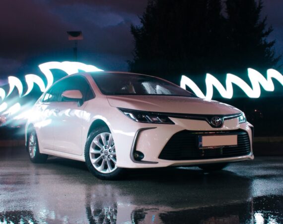 photo 1619682817481 e994891cd1f5