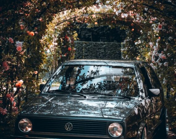 photo 1623878406032 d8b155669f64