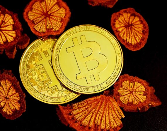 photo 1625208054735 080c1ef587b4