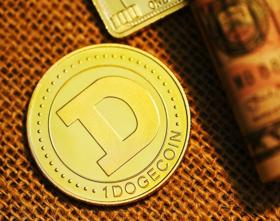 photo 1625647425297 b58025857cd4