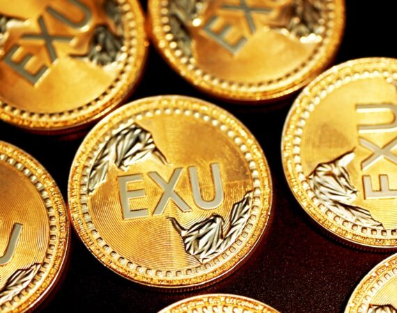 photo 1625817384307 a70df497533b