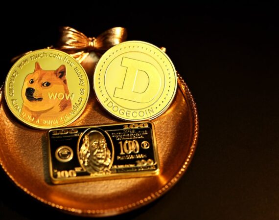 photo 1630655130216 41a18ce8f10f