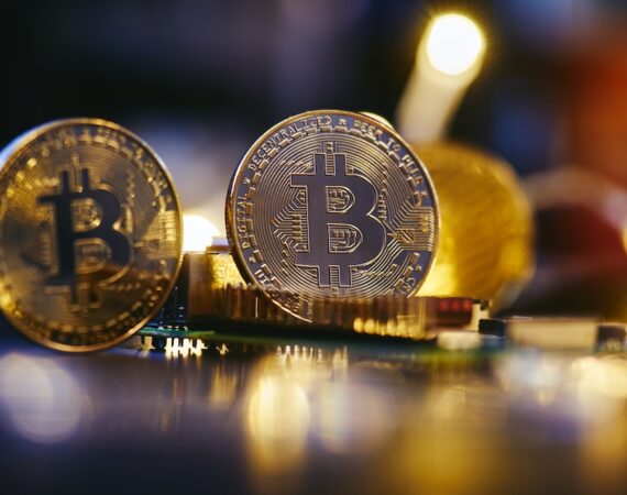 photo 1631384916671 3d4be55a8c92