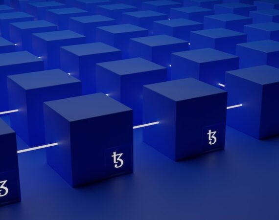 photo 1639815188508 13f7370f664a