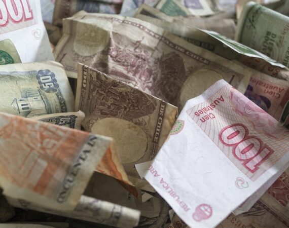 photo 1653586432276 08241d72adb9