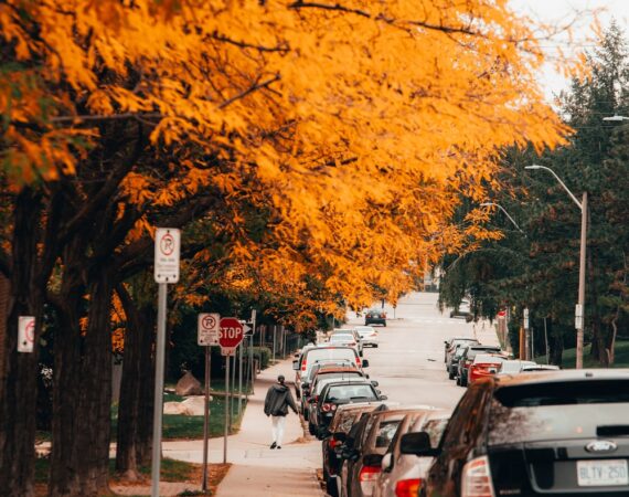 photo 1542177546 39d9d9ddf5da