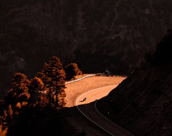 photo 1542227844 5e56c7c2687d